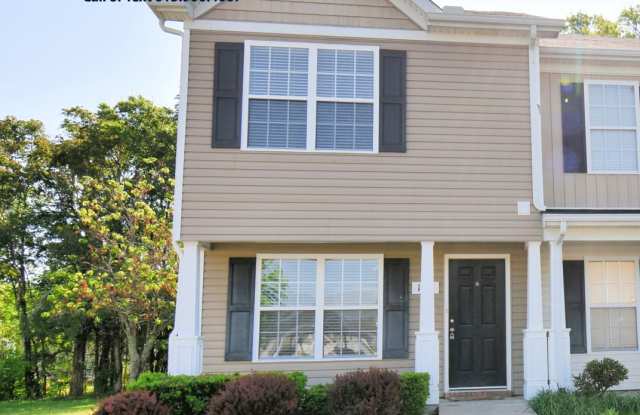 Great 2BR/2.5BA Murfreesboro townhome less than 2 miles from MTSU!