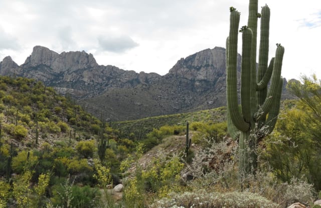 2041 E Buck Ridge Place - 2041 East Buck Ridge Place, Oro Valley, AZ 85737