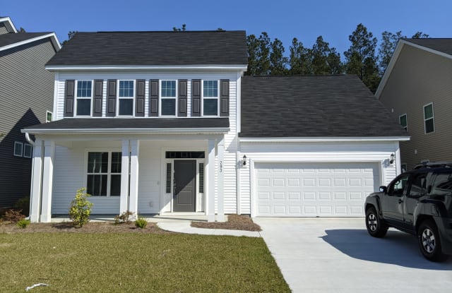 293 Saxony Loop - 293 Saxony Loop, Berkeley County, SC 29486