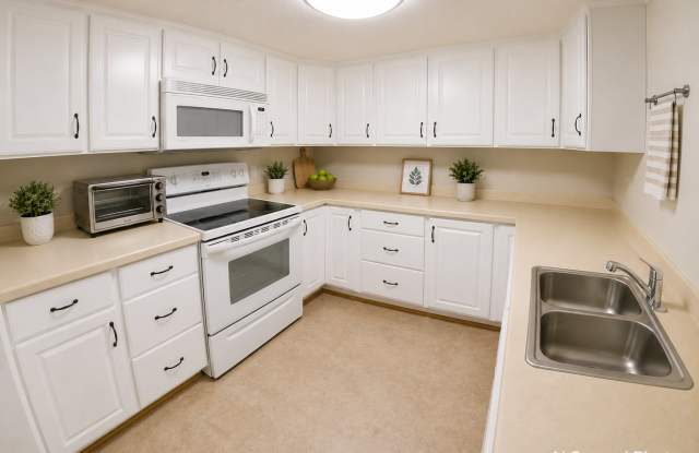 Pet-Friendly + Off-Street Parking + Washer & Dryer! Available August 29th!