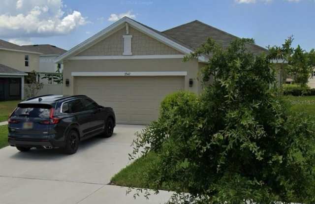 3347 SUNCOAST PLAINS DRIVE