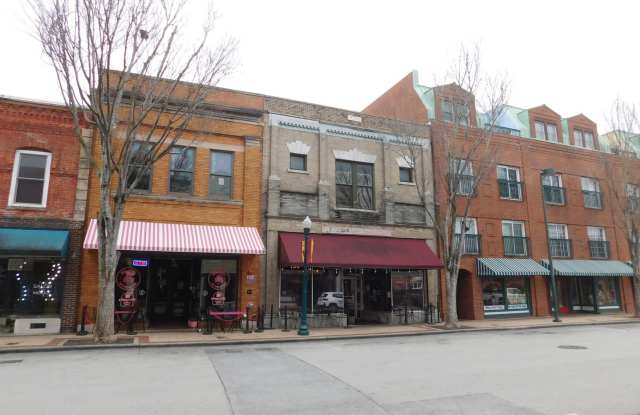 216 B Middle Street - Experience living in Historic Downtown New Bern! Recent Rent Reduction!