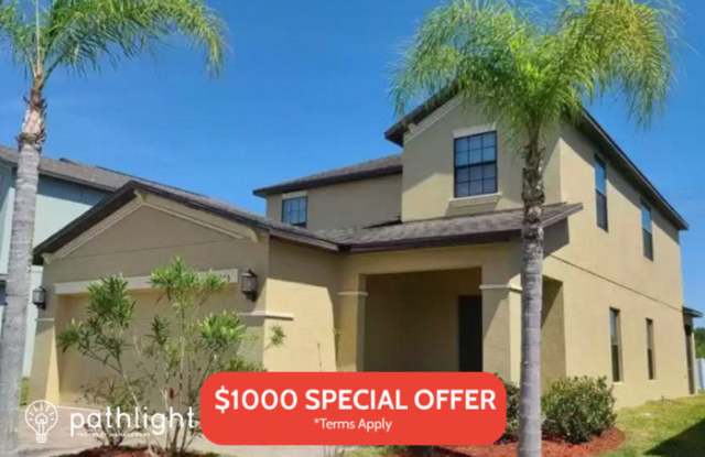 20005 Satin Leaf Avenue - 20005 Satin Leaf Avenue, Tampa, FL 33647