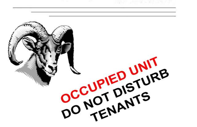 1 Bed, 1 Bathroom Apartment