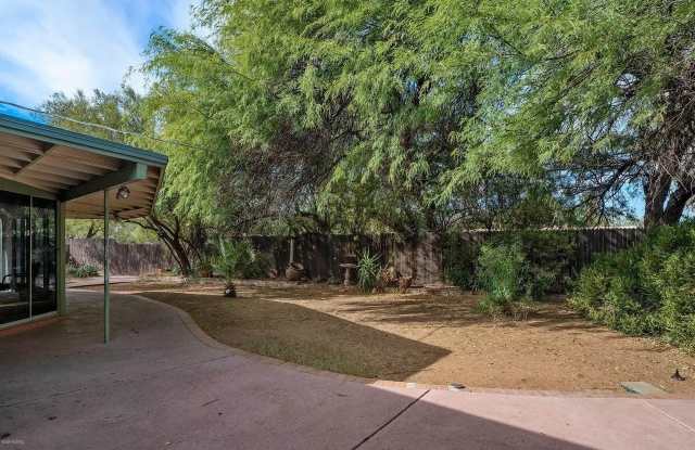 Photo of 87 N Placita Del Saco