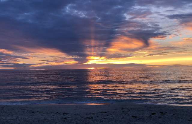 La Jolla Village/Beach 1 Bedroom ~ Only a Block from the Beach!