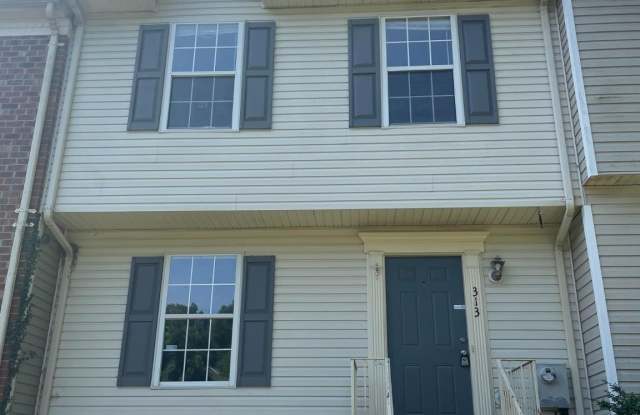 313 STAFFORD MEWS Lane