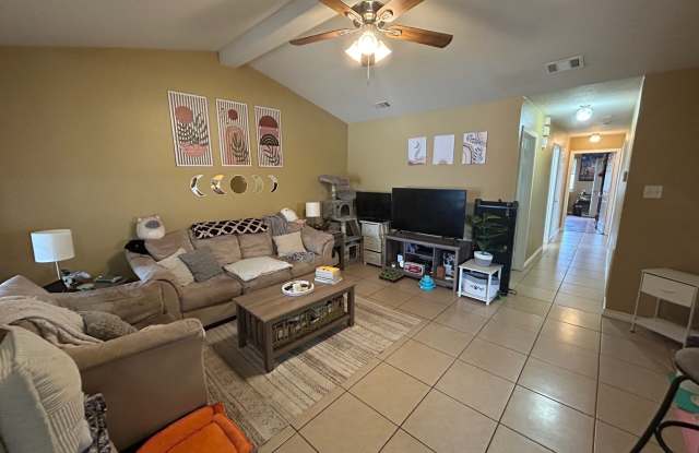 919 Sun Meadows Street