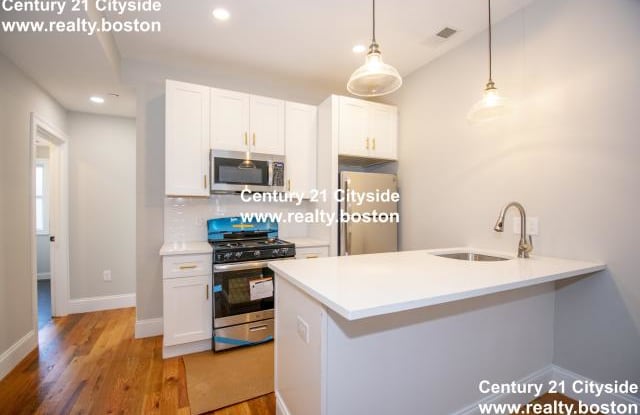 3 Murray Ct. - 3 Murray Court, Boston, MA 02128