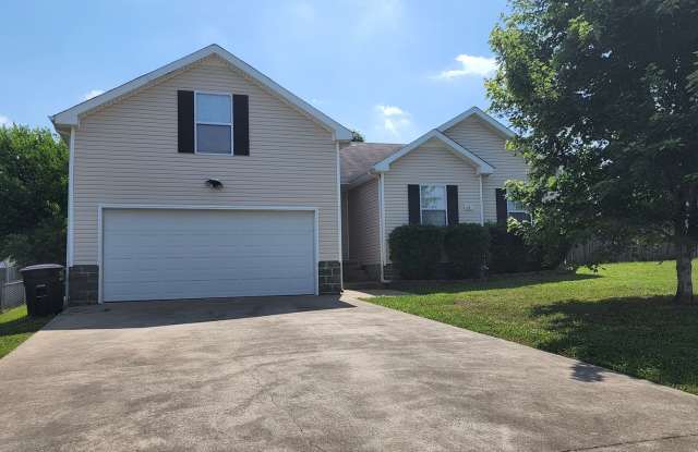 $1700 - 3 Beds 2 Bath + Bonus Room - 163 Appellate Court, Clarksville, TN 37042