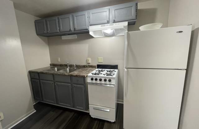 203 Elmhurst St.Apt 3