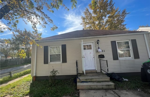 13501 Carrington Avenue - 13501 Carrington Avenue, Cleveland, OH 44135