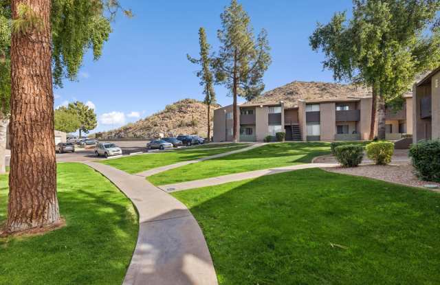 Solaris at Shadow Mountain