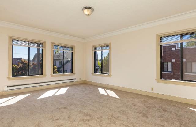 The Bayside Collection