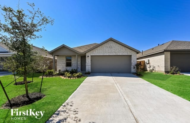 24211 Becker Hollow Lane - 24211 Becker Hollow Ln, Waller County, TX 77447