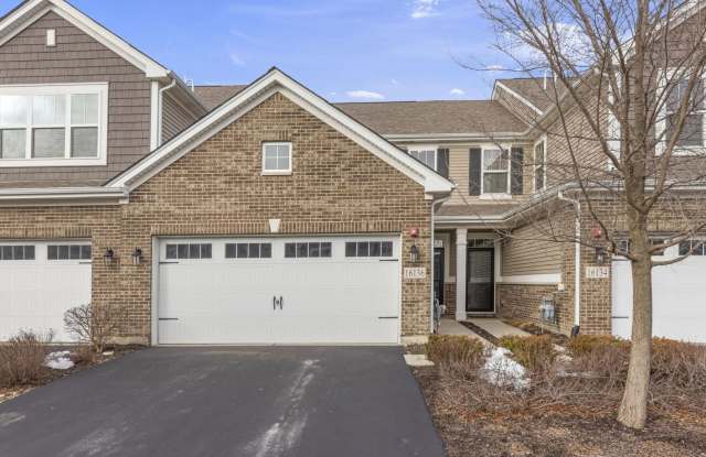 16136 W Coneflower Drive - 16136 West Coneflower Drive, Lockport, IL 60441