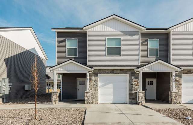 Spring Special $300 off first month of rent! - END UNIT - Darling 3 Bed 2.5 bath townhome in Sugar City, ID