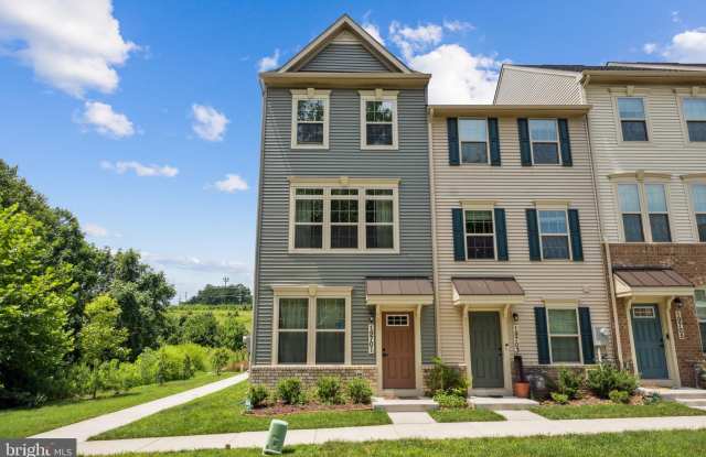 19701 PRESERVATION MEWS