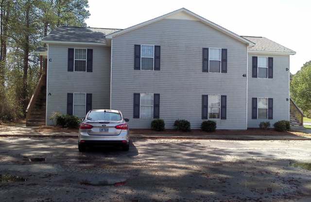 41 Pinto Court Apt. C - 41 Pinto Court, Havelock, NC 28532