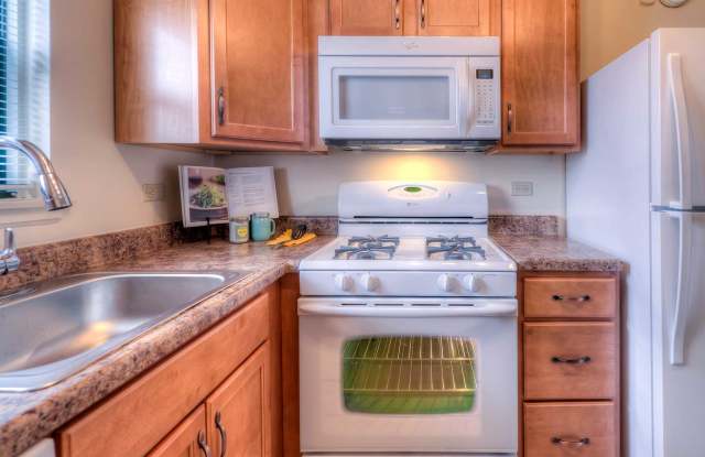 HOMESTEAD APARTMENTS