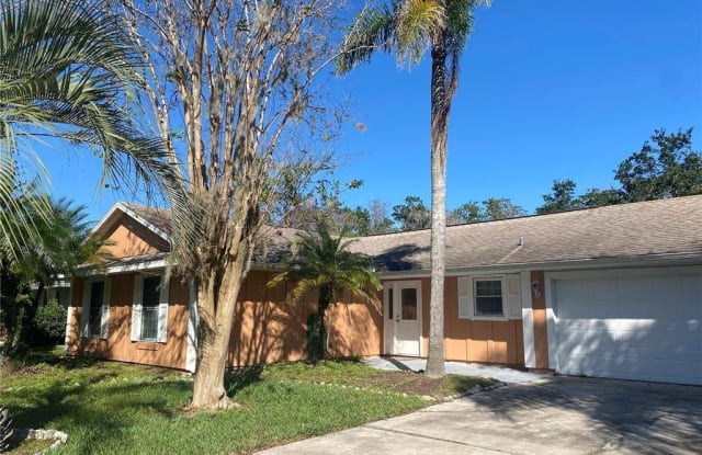 4811 Hopespring Dr. - 4811 Hopespring Drive, Orange County, FL 32829