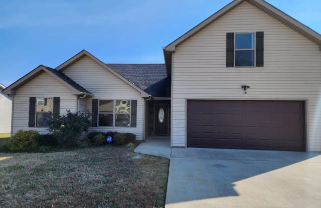 1175 Freedom Drive - 1175 Freedom Drive, Montgomery County, TN 37042