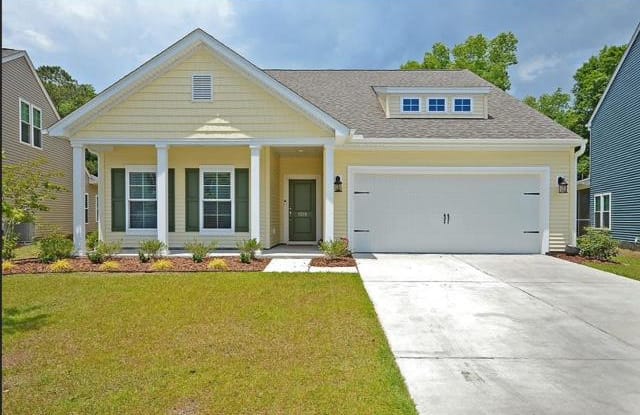 1319 Paint Horse Ct - 1319 Paint Horse Ct, Charleston County, SC 29429