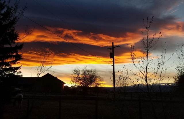 Pre-Lease Avail. 06/01 - Open  Bright, Updated Flooring, W/D Available