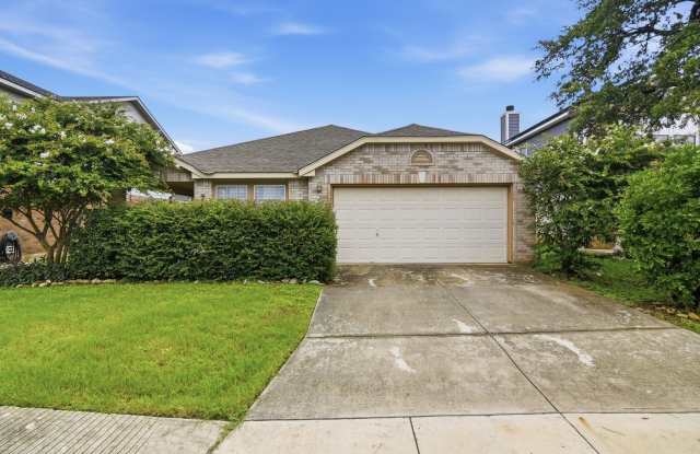25537 Gold Yarrow
