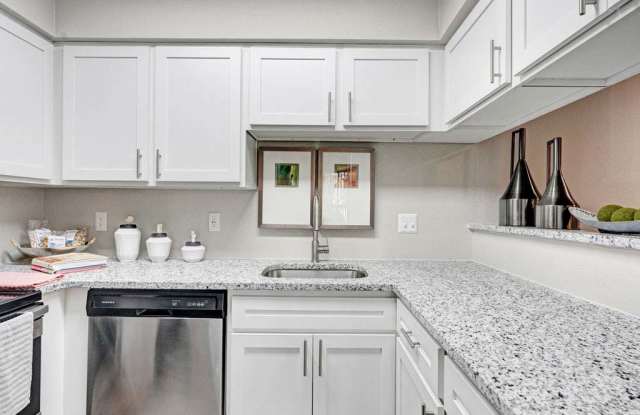 Foundations at Austin Colony