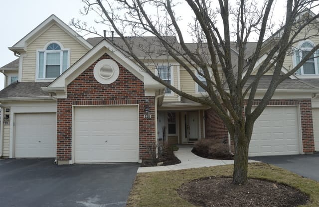 220 Steeplechase Court - 220 Steeplechase Court, Schaumburg, IL 60173