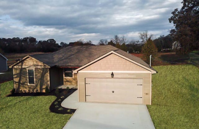 2050 Big Chiefs Skyview Dr - 2050 Big Chiefs Skyview Dr, Sevier County, TN 37876