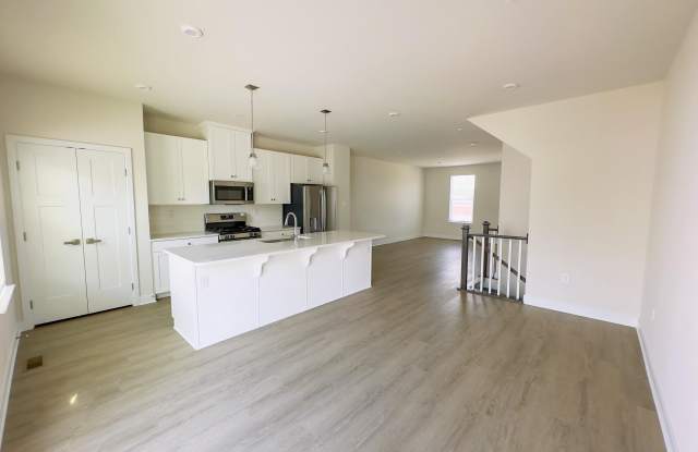 218 RIVER BIRCH WAY