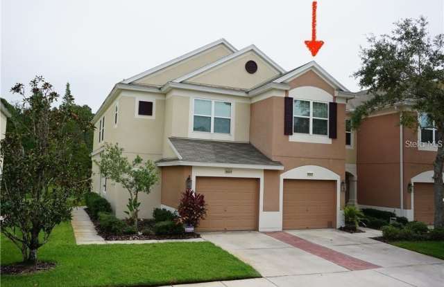 26543 CASTLEVIEW Way