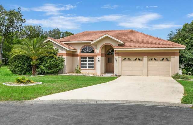 7210 ALOE DRIVE - 7210 Aloe Drive, Spring Hill, FL 34607