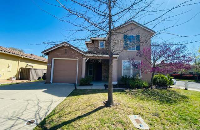 Large Anatolia Stunner! - 11990 Erato Circle, Rancho Cordova, CA 95742