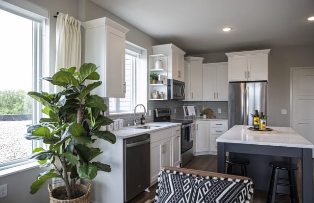 Photo of Birke Minnetonka