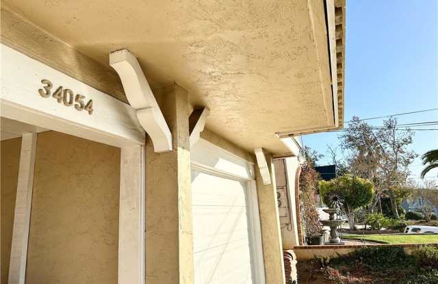 34054 Mazo Drive