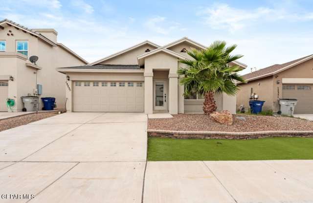 Photo of 12235 joaquin roman Lane