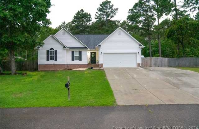 143 Haywood Drive - 143 Haywood Drive, Hoke County, NC 28376