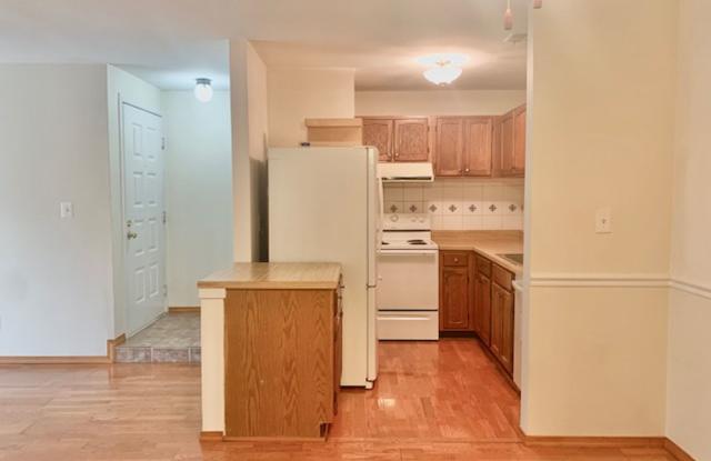 Beautiful and large 1 BR 1 BA! washer and dryer included, fireplace too!