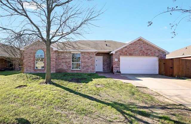 209 Meadow View Lane - 209 Meadow View Lane, Anna, TX 75409