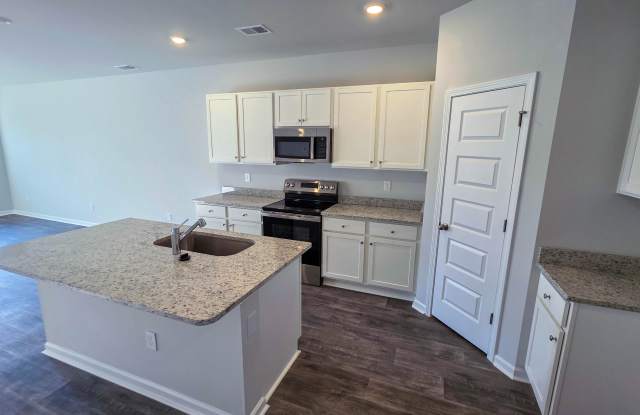 1117 Blueback Herring Way - 1