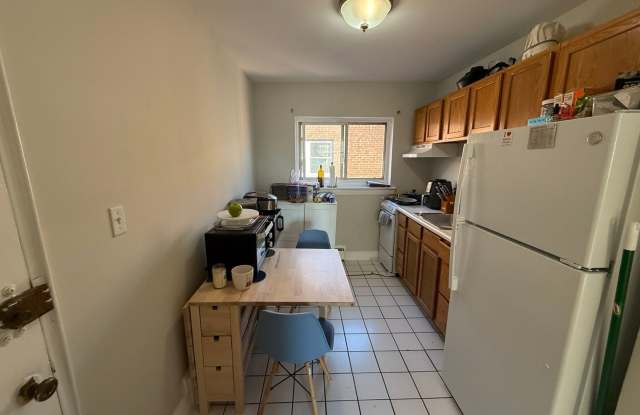 Sun drenched 2 bed 1 bath in vibrant Allston