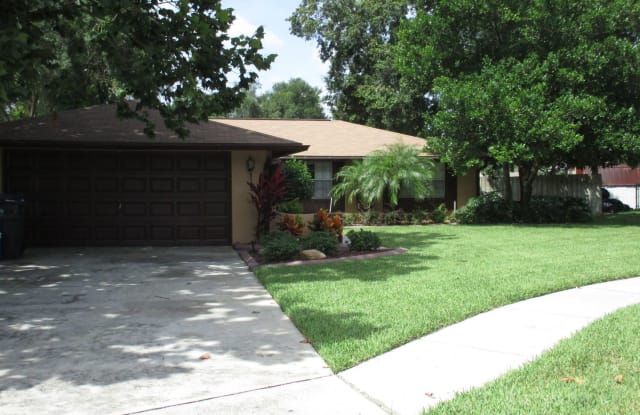 802 Canoe Court - 802 Canoe Court, Brandon, FL 33510