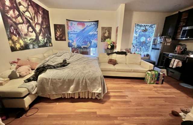 Lovely Renovated Studio in Albany Park!