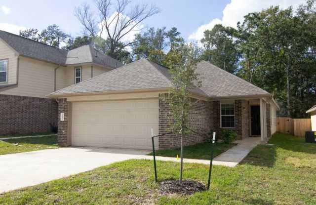 13629 Briana Brook Court