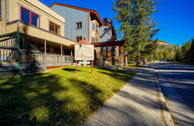In town condo! Walk to gondola! Ski season will be the best! In town 2 bed/2 bath available starting 11/1!