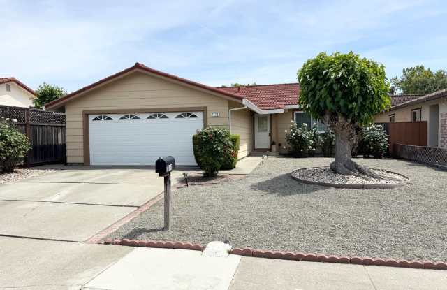Perfect Shape Single Family Home in Dublin with many upgrades