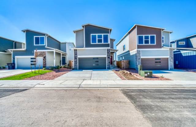 11416 Whistling Duck Way (PRTR33) - 11416 Whistling Duck Way, El Paso County, CO 80925